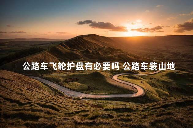 公路车飞轮护盘有必要吗 公路车装山地车飞轮